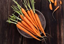 carrot
